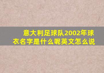 意大利足球队2002年球衣名字是什么呢英文怎么说