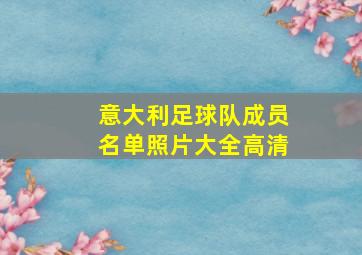 意大利足球队成员名单照片大全高清