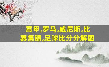 意甲,罗马,威尼斯,比赛集锦,足球比分分解图