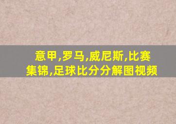 意甲,罗马,威尼斯,比赛集锦,足球比分分解图视频