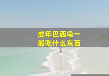 成年巴西龟一般吃什么东西