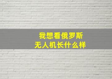 我想看俄罗斯无人机长什么样