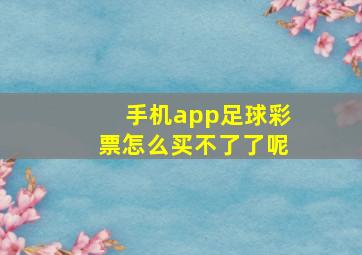 手机app足球彩票怎么买不了了呢