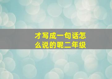 才写成一句话怎么说的呢二年级