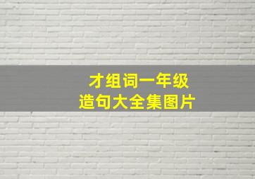 才组词一年级造句大全集图片