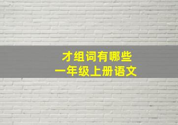 才组词有哪些一年级上册语文