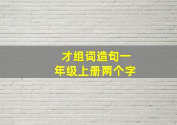 才组词造句一年级上册两个字