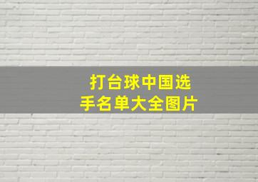 打台球中国选手名单大全图片