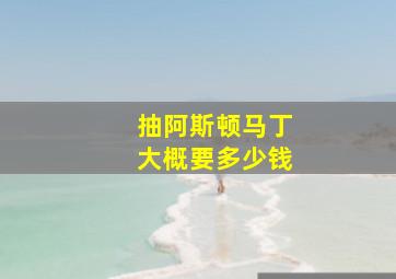 抽阿斯顿马丁大概要多少钱