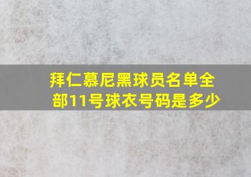 拜仁慕尼黑球员名单全部11号球衣号码是多少