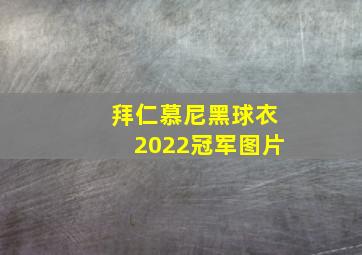 拜仁慕尼黑球衣2022冠军图片