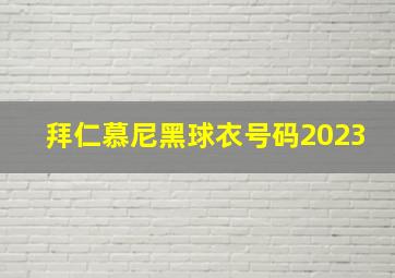 拜仁慕尼黑球衣号码2023