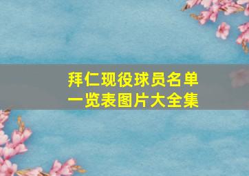 拜仁现役球员名单一览表图片大全集