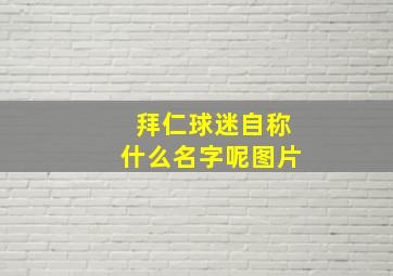 拜仁球迷自称什么名字呢图片