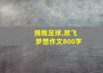 拥抱足球,放飞梦想作文800字