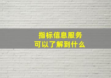 指标信息服务可以了解到什么