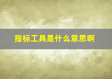 指标工具是什么意思啊