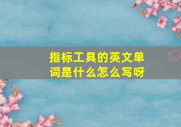 指标工具的英文单词是什么怎么写呀