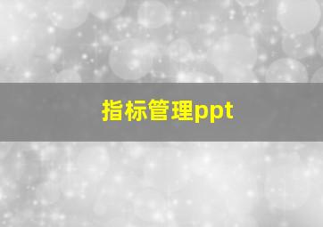 指标管理ppt