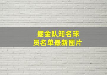 掘金队知名球员名单最新图片