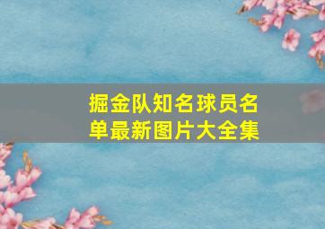 掘金队知名球员名单最新图片大全集