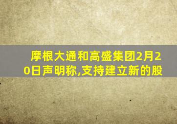 摩根大通和高盛集团2月20日声明称,支持建立新的股