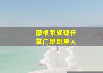 摩根家族现任掌门是哪里人