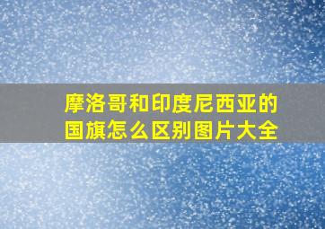 摩洛哥和印度尼西亚的国旗怎么区别图片大全