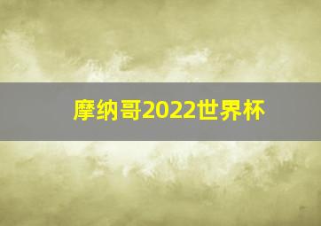 摩纳哥2022世界杯