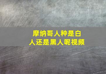 摩纳哥人种是白人还是黑人呢视频