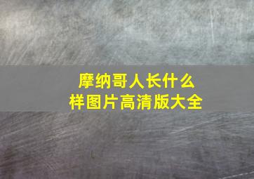 摩纳哥人长什么样图片高清版大全