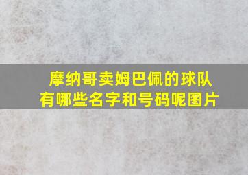 摩纳哥卖姆巴佩的球队有哪些名字和号码呢图片