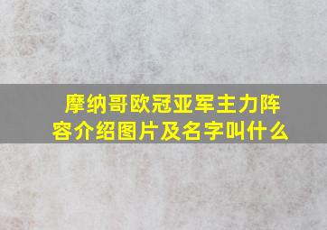 摩纳哥欧冠亚军主力阵容介绍图片及名字叫什么