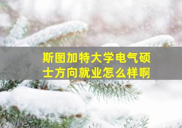 斯图加特大学电气硕士方向就业怎么样啊