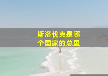 斯洛伐克是哪个国家的总里