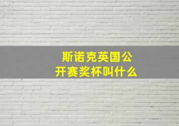 斯诺克英国公开赛奖杯叫什么