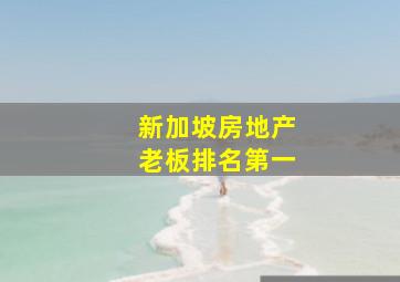 新加坡房地产老板排名第一