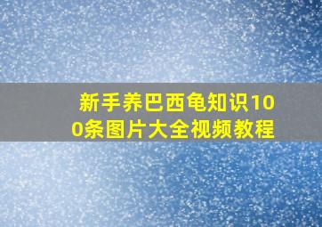 新手养巴西龟知识100条图片大全视频教程