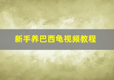 新手养巴西龟视频教程