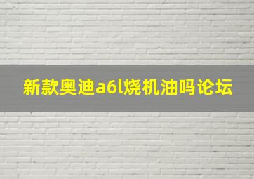 新款奥迪a6l烧机油吗论坛