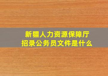 新疆人力资源保障厅招录公务员文件是什么