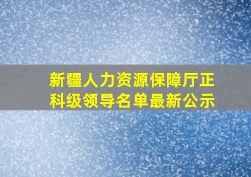 新疆人力资源保障厅正科级领导名单最新公示