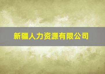 新疆人力资源有限公司