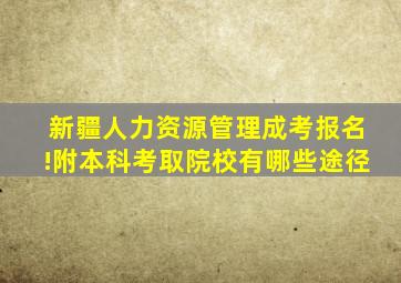 新疆人力资源管理成考报名!附本科考取院校有哪些途径