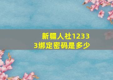 新疆人社12333绑定密码是多少