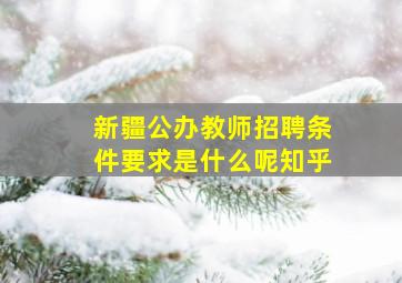 新疆公办教师招聘条件要求是什么呢知乎