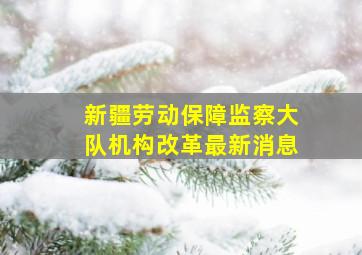 新疆劳动保障监察大队机构改革最新消息