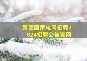 新疆国家电网招聘2024招聘公告官网