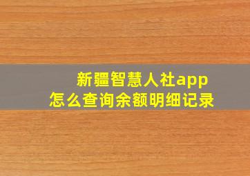 新疆智慧人社app怎么查询余额明细记录