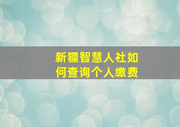 新疆智慧人社如何查询个人缴费